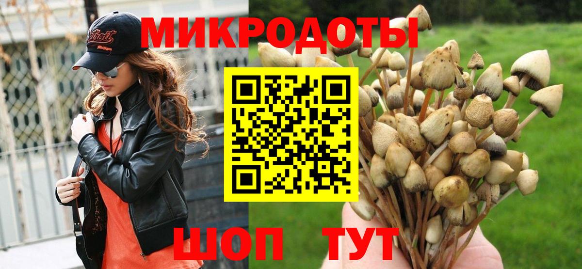 Псилоцибиновые грибы Psilocybine cubensis Кинешма