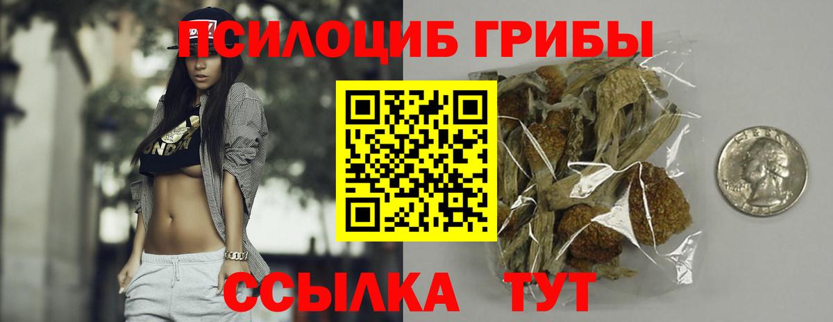 Галлюциногенные грибы Magic Shrooms  Вход с VPN  Кинешма 